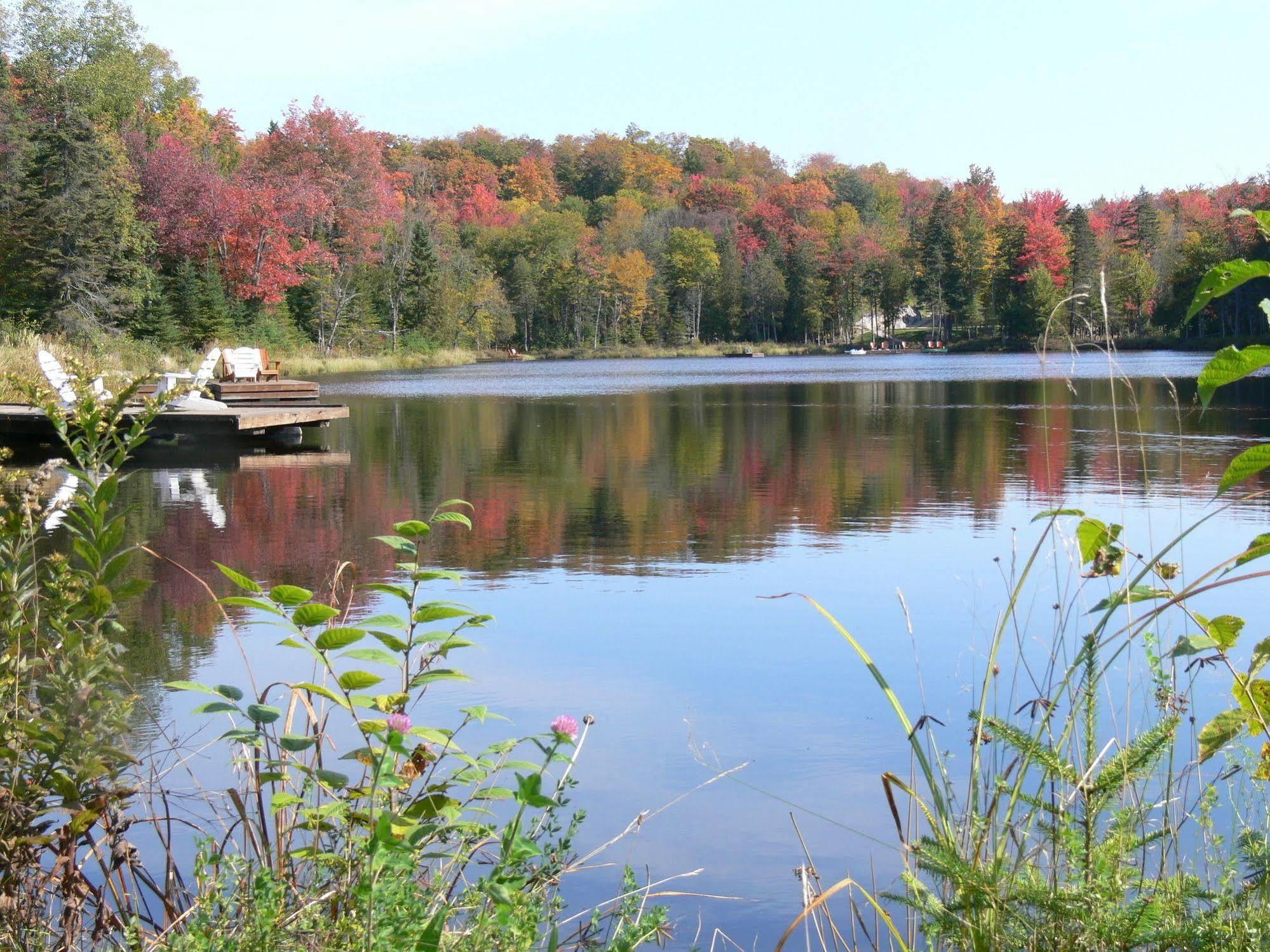 Blueberry Lake Resort Labelle Exterior foto