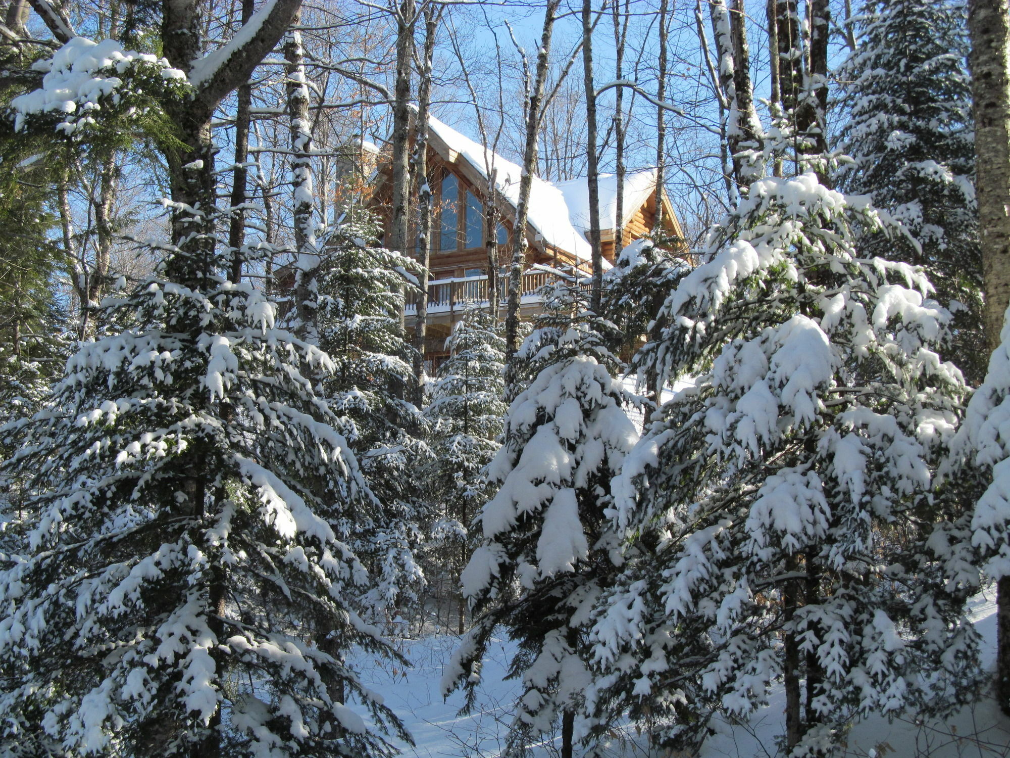 Blueberry Lake Resort Labelle Exterior foto